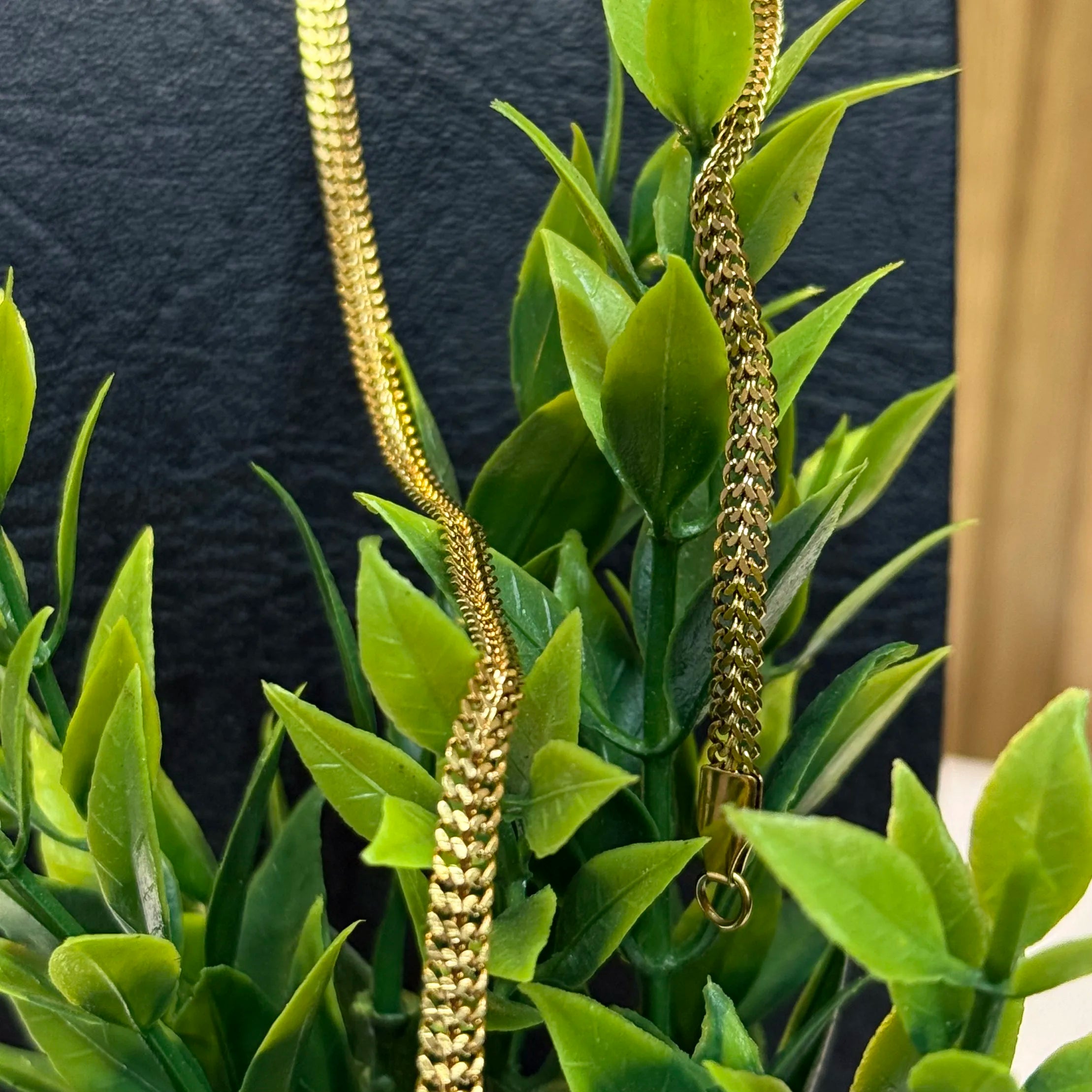 Cadena Roma┃65 Cm
